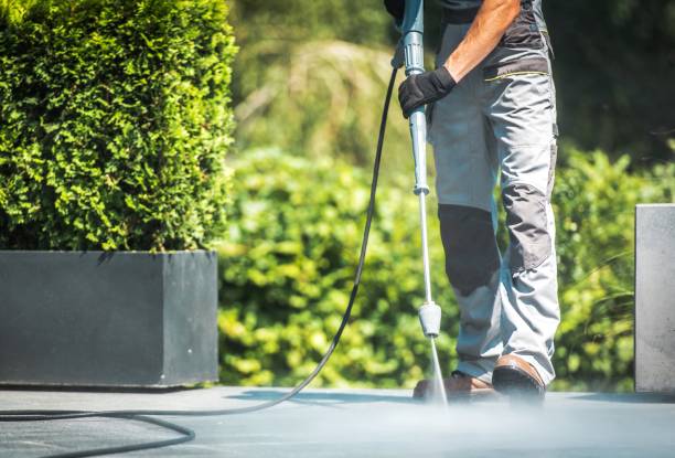 Best Gutter Cleaning and Brightening in Cresco, IA