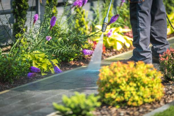 Best Roof Cleaning and Mildew Removal in Cresco, IA