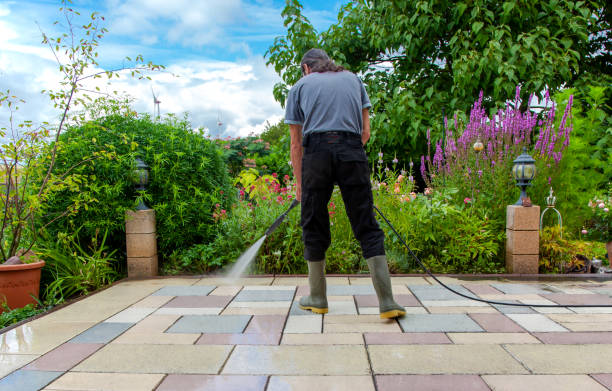 Best Residential Pressure Washing in Cresco, IA